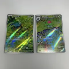 フシギダネ、フシギソウARセット