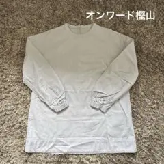 オンワード樫山　長袖クルーネック バックジップ ブラウス ライトブルーのサムネイル