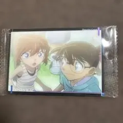 名探偵コナン　イタジャガ　江戸川コナン　灰原哀