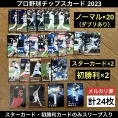 プロ野球チップスカード　2023 スターカード　平良海馬　岡林勇希　新井監督