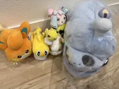 2026年最新】ナマコブシ ティッシュの人気アイテム - メルカリ