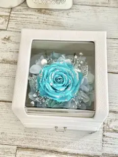 Item thumbnail for item f8fdb4d3-f959-4315-b12f-92fd39f022c3