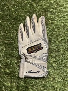 【激レア】【サイン入り】プロ野球選手　支給品　プロ使用　バッティンググローブ Yahoo!オークション -「実使用 バッティンググローブ」(野球