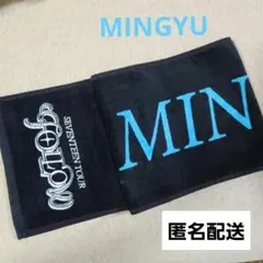 SEVENTEEN MINGYUミンギュ ライブタオルセット 2025年最新】seventeen ミンギュ タオルの人気アイテム - メルカリ