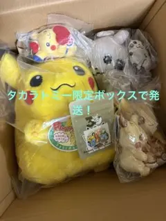 3点セット】ポケモン はじまりのピカチュウ＆おかえり！ピカチュウ