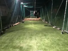 Item thumbnail for item b156051b-8cef-4938-9aa8-c26ff6c43c2e