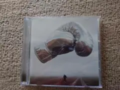 ブライアンアダムス 最新　Roll With The Punches　CD