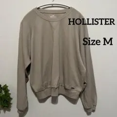 HOLLISTER ホリスターメンズ長袖カットソーM ベージュ　ナチュラルのサムネイル