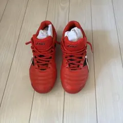 asicsフットサルシューズ/室内履き