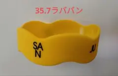 Item thumbnail for item 1fd680e4-f928-4f6d-ab77-b25210006a1e