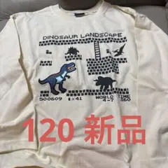 ロンT 120