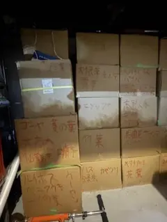 よもぎ蒸し　好きなだけ漢方　入浴