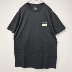 2026年最新】チャンピオン champion ビックバックプリントの人気