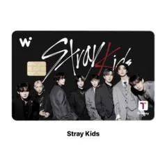 【新品未開封】Stray Kids WOWPASS 9枚 コンプリート スキズ 新品未開封】Stray Kids WOWPASS 9枚 コンプリート スキズ Stray Kids