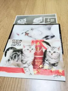 猫のポストカード３枚セット