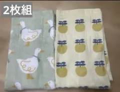 Item thumbnail for item f374dd47-b3d0-4d41-93d3-78fca65de1ce