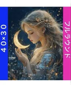 ダイヤモンドアートキットN-1537三日月と少女 ビーズ アート ハンドメイド