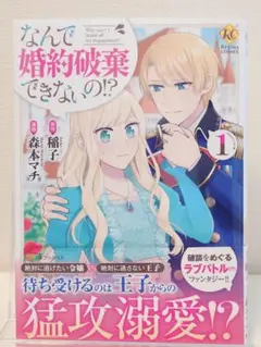 Item thumbnail for item ce24304a-dd63-4e58-af0f-51a04a55e284