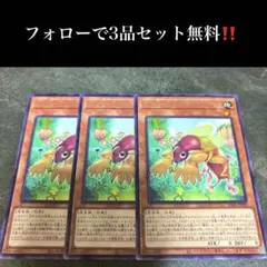 A2695 遊戯王 ナチュル・モロクリケット3枚セット