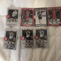 日本 バレーボール トレーディングカード セット