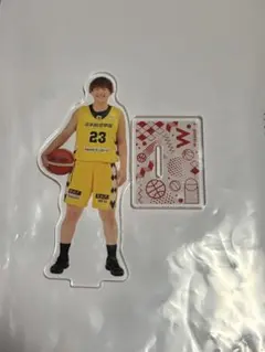 wリーグ トレカ