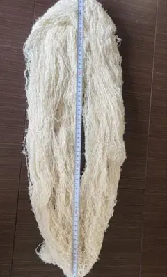 Item thumbnail for item bdc922db-5dcf-4fb5-b4da-960c187f361e