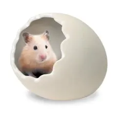 マルカン　はむ巣たまご Mのサムネイル