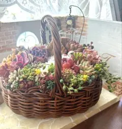 ❤️多肉植物そのまま飾れる❤️籐のかご箱庭風可愛いお家とうさぎさんリスさん