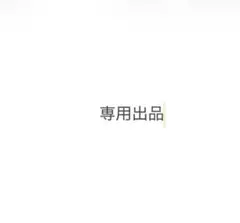 専用出品