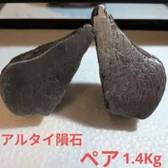 2026年最新】アルタイ隕石の人気アイテム - メルカリ
