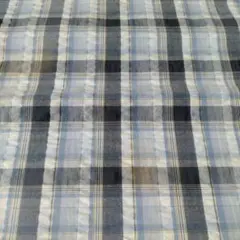 Item thumbnail for item 5c095416-0d7f-4496-8f95-f653c8eedd9e