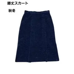 秋冬 ネイビー 膝丈スカート 裏地あり｜きれいめ ※ファスナーやや難あり