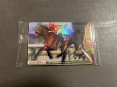 ウシュバテソーロ 川田将雅 サイン サラブレッドホースコレクション 第