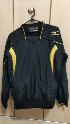 Item thumbnail for item 02e4eec9-2e0a-49a7-a588-d1ca072deb8f