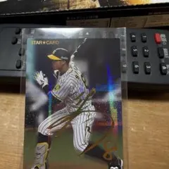 Item thumbnail for item 9998a1cd-5b58-48ea-9cfa-4b3e12f04c39