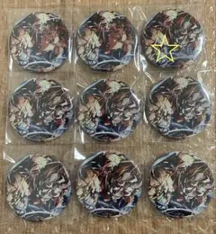 crazy raccoon ありさか 誕生日 缶バッジ 9個セット ホロ レア