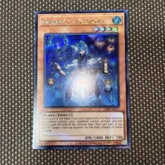 アーカナイト・マジシャン/バスター 遊戯王 英語 レリーフ - メルカリ