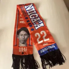 アルビレックス新潟 新井選手 応援スカーフ 22