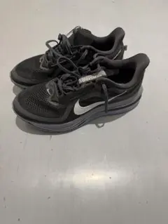 Nike ペガサスプレミアム