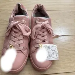 Item thumbnail for item fb1a478f-9f4b-4734-b70a-3079f94ea0e5