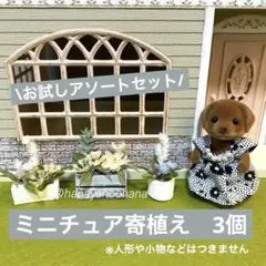 ミーコ様 リクエスト 3点 まとめ商品