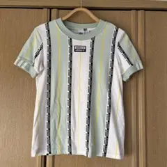 adidas ストライプ 半袖 Tシャツ