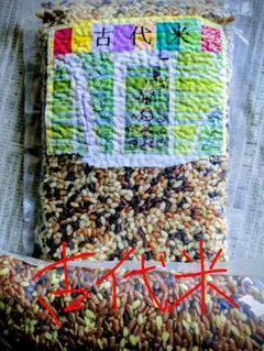 古代米.500g❣️5色ブレンド米.天日干し・農薬なしのサムネイル