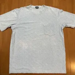 old stussy 紺タグ ssリンク シャネルロゴ Tシャツ Tee 90s