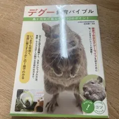 デグー飼育バイブル 長く元気に暮らす50のポイント