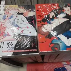 15商業 BL 2冊で 680円までのセットでしたら3組購入で1200円