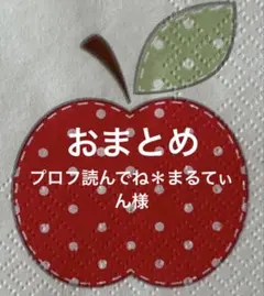 プロフ読んでね＊まるてぃん様 リクエスト 4点 まとめ商品