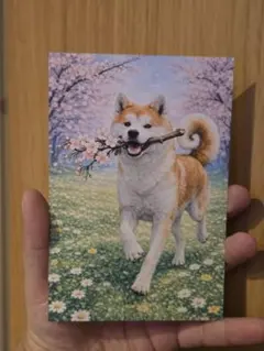 Item thumbnail for item cd9ad746-1982-41cc-b8dd-a1a699ce382b