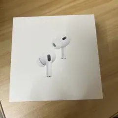 AirPods Pro 箱　のみ