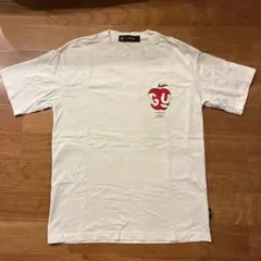 Item thumbnail for item 70f8c342-10a7-4821-83ef-a52d565eeeab